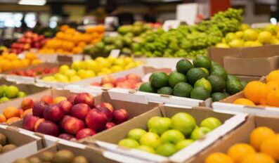 fruitarian diet